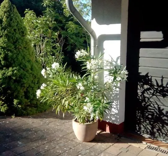 Apartamento Ellis Garden Idar-Oberstein